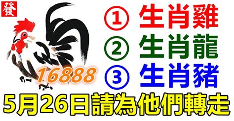 屬雞喜用字|命理藏經閣: 生肖屬雞命名喜、忌用字庫